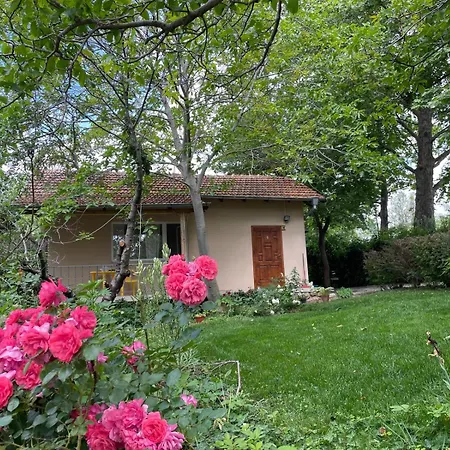 Дом отдыха Peaceful Summer House With Garden Near The Kabakum ,