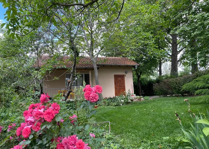 بيت للعطل A Charming And Peaceful Summer 400m From The Sea