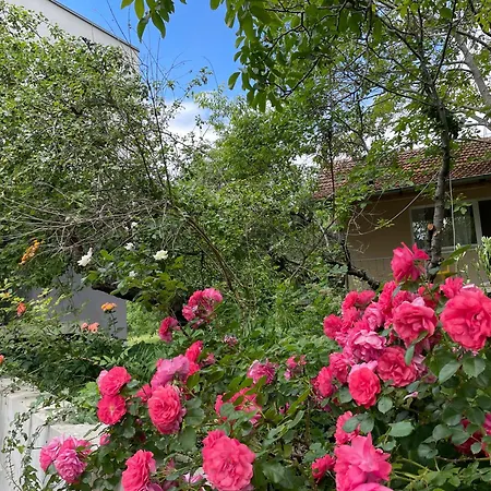 Hébergement de vacances Peaceful Summer House With Garden Near The Kabakum ,