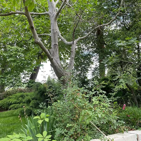 Peaceful Summer House With Garden Near The Kabakum , Hébergement de vacances *